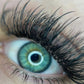 Spike Lashes – C Curl